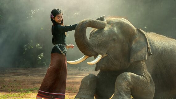 Φενγκ Σούι – Ελέφαντας για τύχη , προστασία, γονιμότητα.